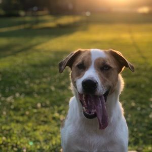 Meet your Posher, Ashlynne